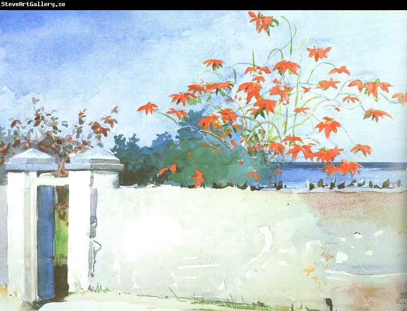 Winslow Homer A Wall, Nassau